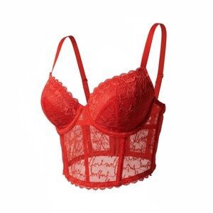 Wolford Red Lace Longline Bra 38D Sheer Underwire Corset Bustier NWOT